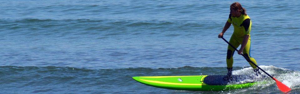 learn-to-sup-surf