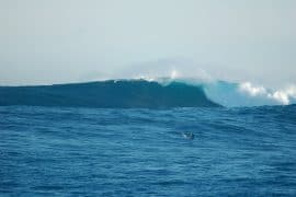 Big wave surfing the Cortes Bank
